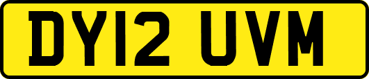 DY12UVM