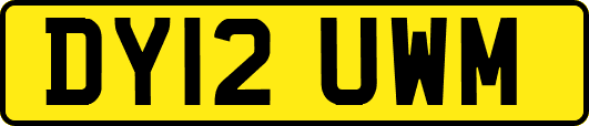 DY12UWM