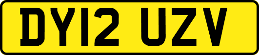 DY12UZV