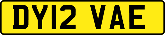 DY12VAE