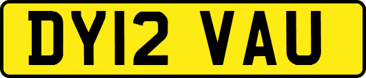 DY12VAU