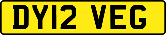 DY12VEG