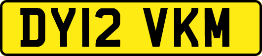 DY12VKM