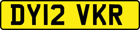DY12VKR