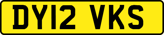 DY12VKS