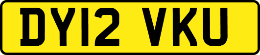 DY12VKU