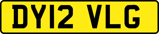 DY12VLG