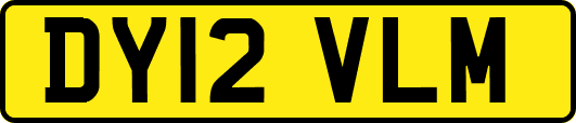 DY12VLM