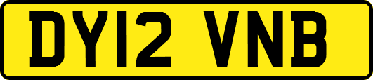 DY12VNB