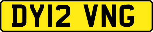 DY12VNG