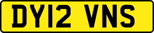 DY12VNS