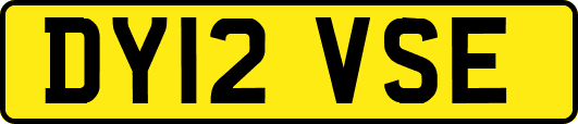 DY12VSE