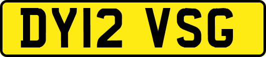 DY12VSG
