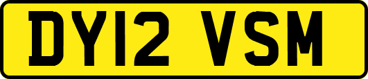 DY12VSM