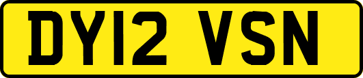 DY12VSN