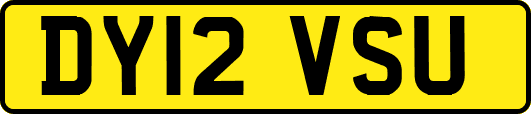 DY12VSU