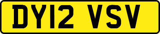 DY12VSV