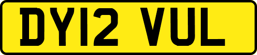 DY12VUL