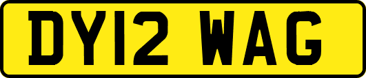 DY12WAG