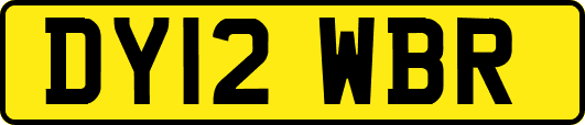 DY12WBR