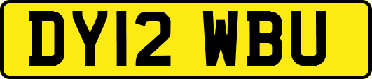 DY12WBU