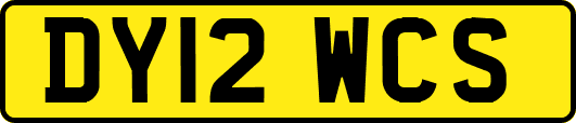DY12WCS