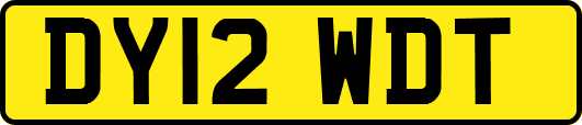 DY12WDT
