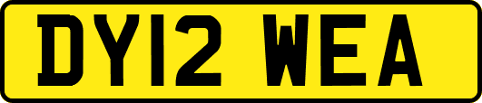 DY12WEA
