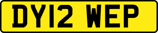 DY12WEP