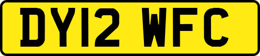 DY12WFC