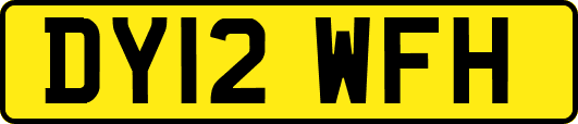 DY12WFH