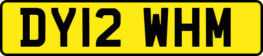 DY12WHM