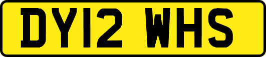 DY12WHS