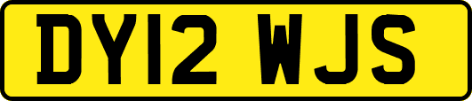 DY12WJS