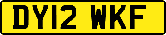 DY12WKF