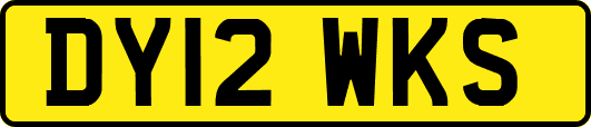 DY12WKS