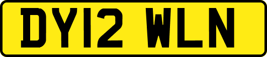 DY12WLN