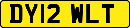 DY12WLT