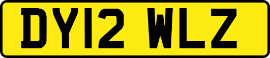 DY12WLZ