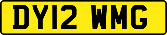 DY12WMG