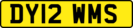 DY12WMS