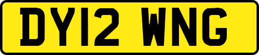 DY12WNG
