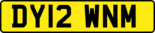 DY12WNM