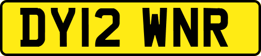 DY12WNR