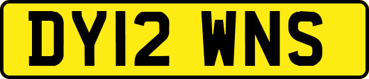 DY12WNS