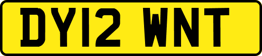 DY12WNT