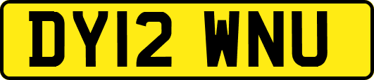 DY12WNU