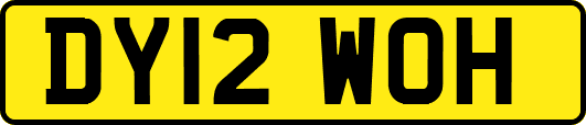 DY12WOH