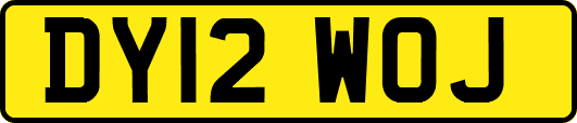 DY12WOJ