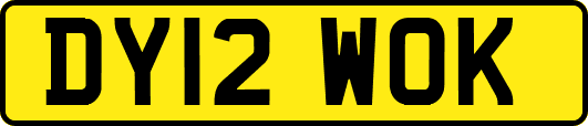 DY12WOK